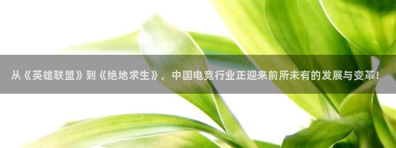杜邦娱乐登录地址：从《英雄联盟》到《绝地求生》，中国电竞行业