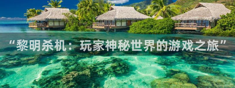 杜邦娱乐平台官方网站：“黎明杀机：玩家神秘世界的游戏之旅”