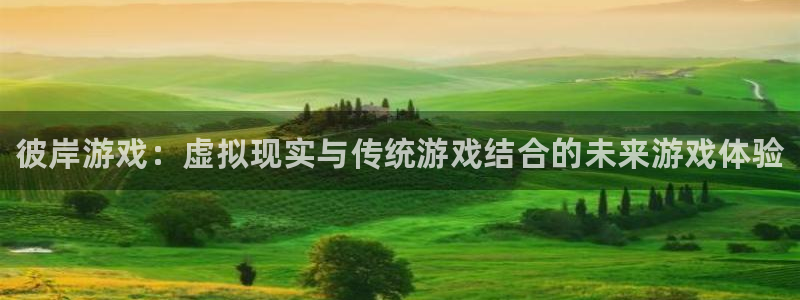 杜邦娱乐娱乐：彼岸游戏：虚拟现实与传统游戏结合的未来游戏体验