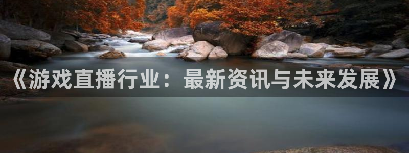 杜邦娱乐主管：《游戏直播行业：最新资讯与未来发展》