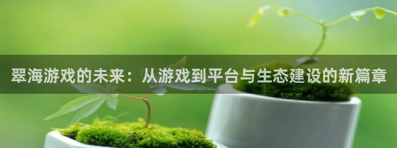 杜邦娱乐注册开户：翠海游戏的未来：从游戏到平台与生态建设的新
