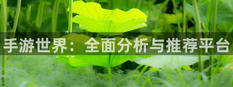 杜邦娱乐平台负责人：手游世界：全面分析与推荐平台