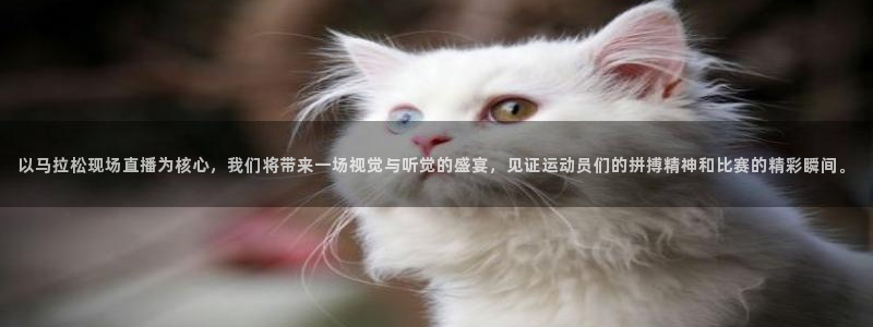 51视频在线直播nba：以马拉松现场直播为核心，我们将带来一场视觉与听觉的盛宴，见证运动员们的拼搏精神和比赛的精彩瞬间。