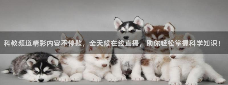 51视频在线直播nba：科教频道精彩内容不停歇，全天候在线直播，助你轻松掌握科学知识！