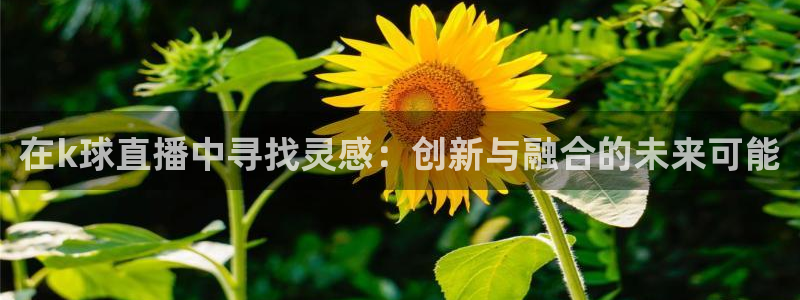 51视频在线直播nba：在k球直播中寻找灵感：创新与融合的未来可能