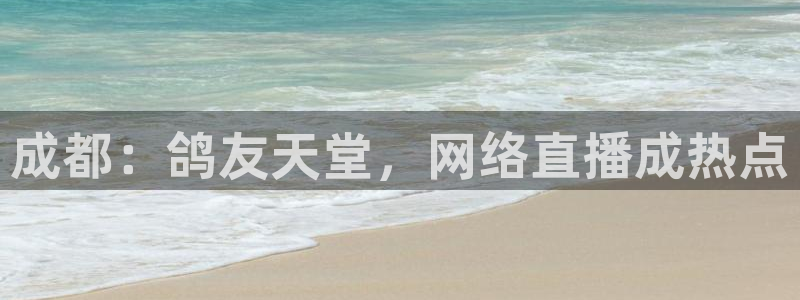 51视频在线直播nba：成都：鸽友天堂，网络直播成热点