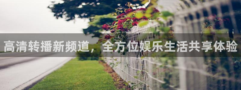 51视频在线直播nba