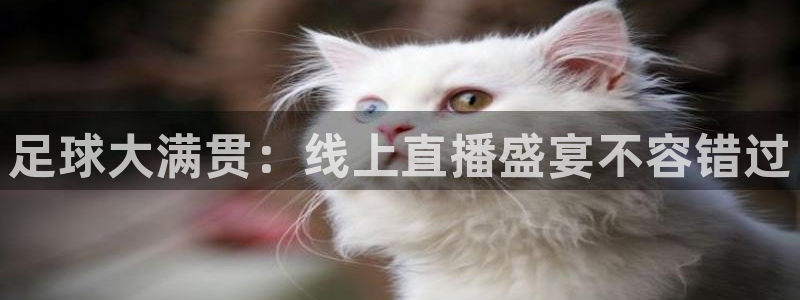 51视频在线直播nba