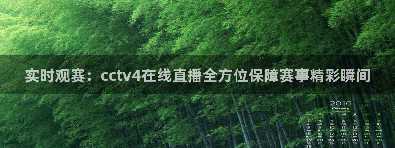 51视频在线直播nba：实时观赛：cctv4在线直播全方位保障赛事精彩瞬间