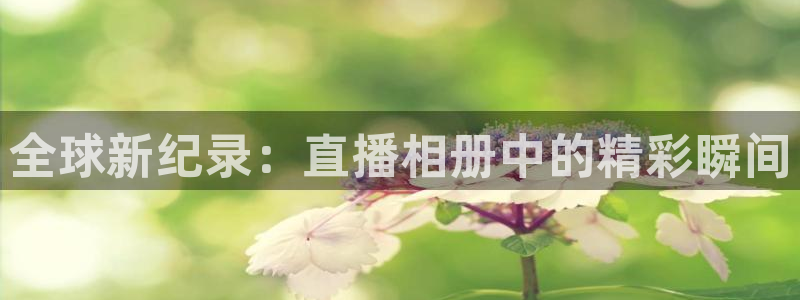 51视频在线直播nba：全球新纪录：直播相册中的精彩瞬间