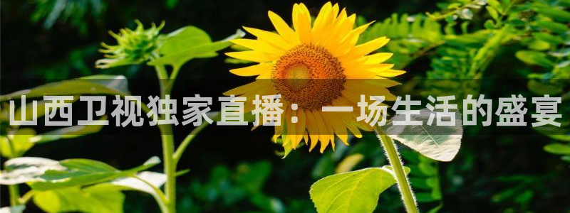 51视频在线直播nba：山西卫视独家直播：一场生活的盛宴